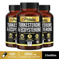 TURKESTERONE & ECDYSTERONE Extracts - Improves Male Performance, Endurance, Motivation, Focus & Muscle Mass Nutritional Supplements Store